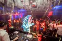 FIESTAS-photos