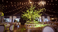 Decoracion
