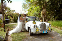 Editor´s Choice